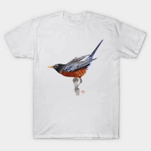 American Robin T-Shirt